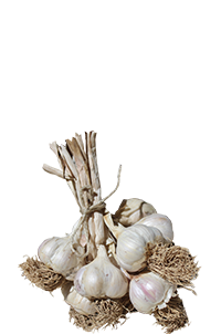 Orta Taşköprü Sarımsağı (3_4 cm)